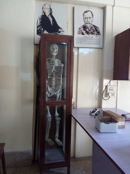 biology-physics-lab-2