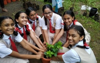 Van Mahotsav… Festival of Trees