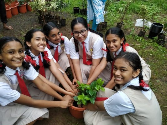 Van Mahotsav… Festival of Trees