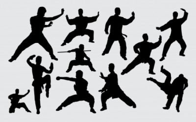 The World of Martial Arts