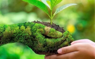 Vanamahotsav Celebrations